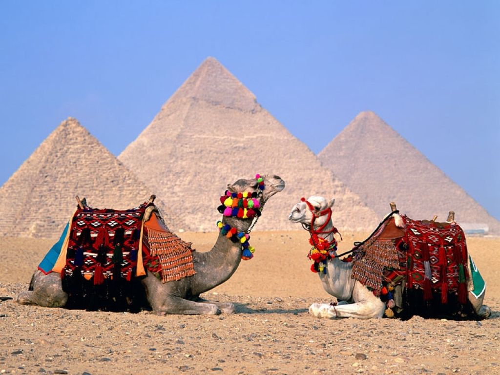 Private 12 Days Tour:Giza Pyramids, Luxor, Aswan Nile cruise & Hurghada